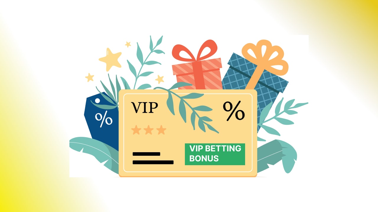 VIP programs at betting sites